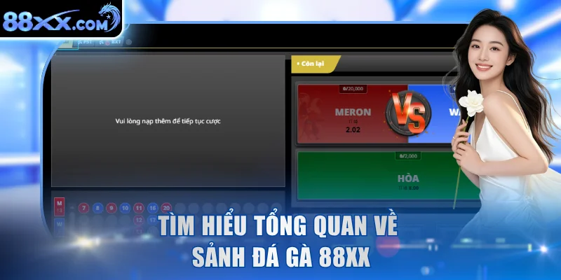 Tìm hiểu tổng quan về sảnh đá gà 88XX
